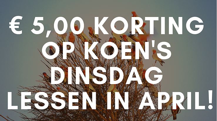 Nieuw! Dinsdagmiddag celloles in Amsterdam door Koen: € 5,00 korting in april