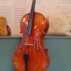 Meestercello 3595,00 Scarlett Arts a