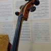 Meestercello 3595,00 Scarlett Arts d