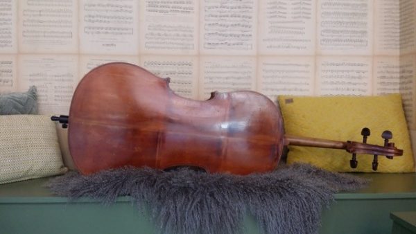Cello Pernoud, Haute Savoie b