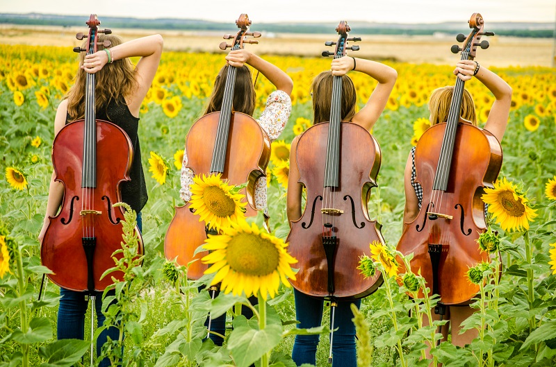 Lente = cello!