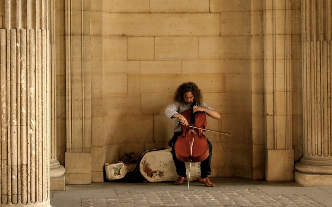 De Watson kopie strijkstok voor je cello?