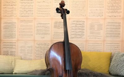 Cello workshops 2019-2020 inschrijving geopend