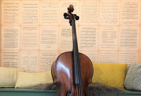 Cello workshops 2019-2020 inschrijving geopend