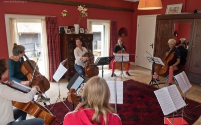 Doe mee aan het Celloweekend van 25 en 26 juli te Havelte, Drenthe.