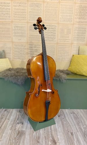 Scott Cao Davidov cello