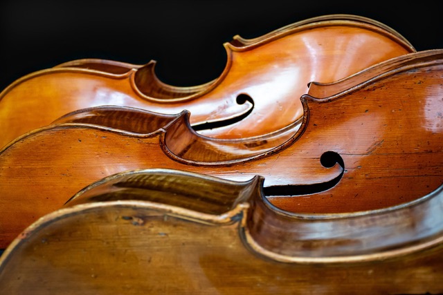 Cello-Bach-workshop