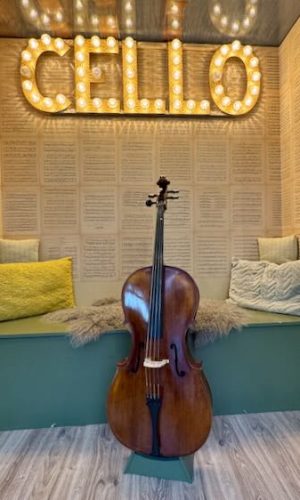Roemeense-cello-kopen-volwassen-starter
