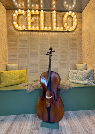 Roemeense-cello-kopen-volwassen-starter