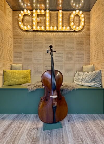 Roemeense-cello-kopen-volwassen-starter