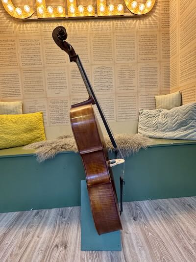 Roemeense-cello-kopen-volwassen-starter