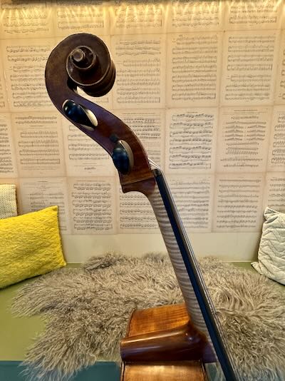 Roemeense-cello-kopen-volwassen-starter