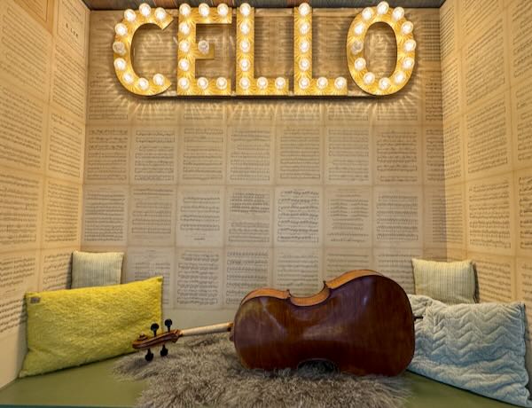 Roemeense-cello-kopen-volwassen-starter