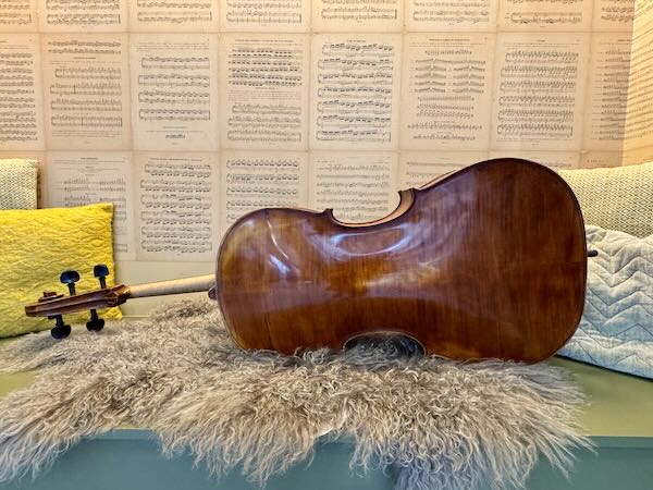 Roemeense-cello-kopen-volwassen-starter