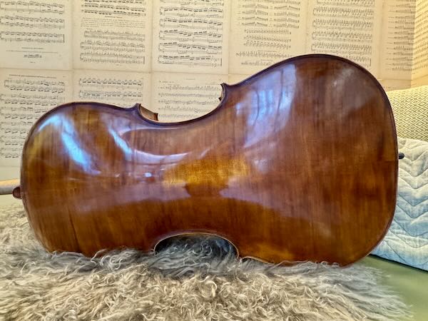 Roemeense-cello-kopen-volwassen-starter