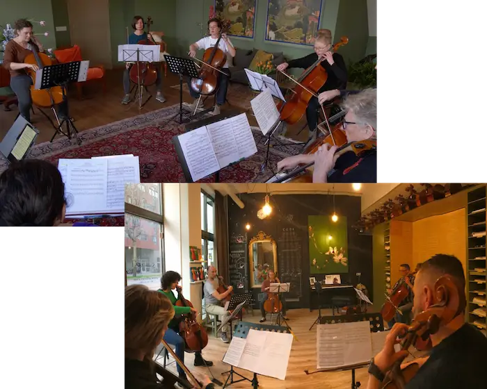 Cello workshops-velp-amsterdam