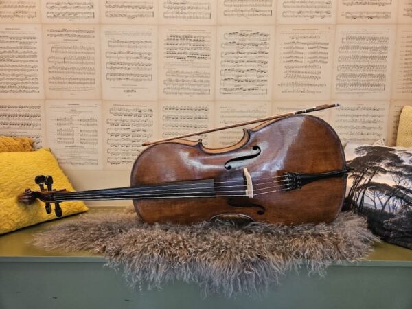 cello theodor-oude cello header