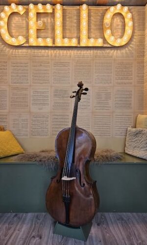 OUde Duitse cello te koop