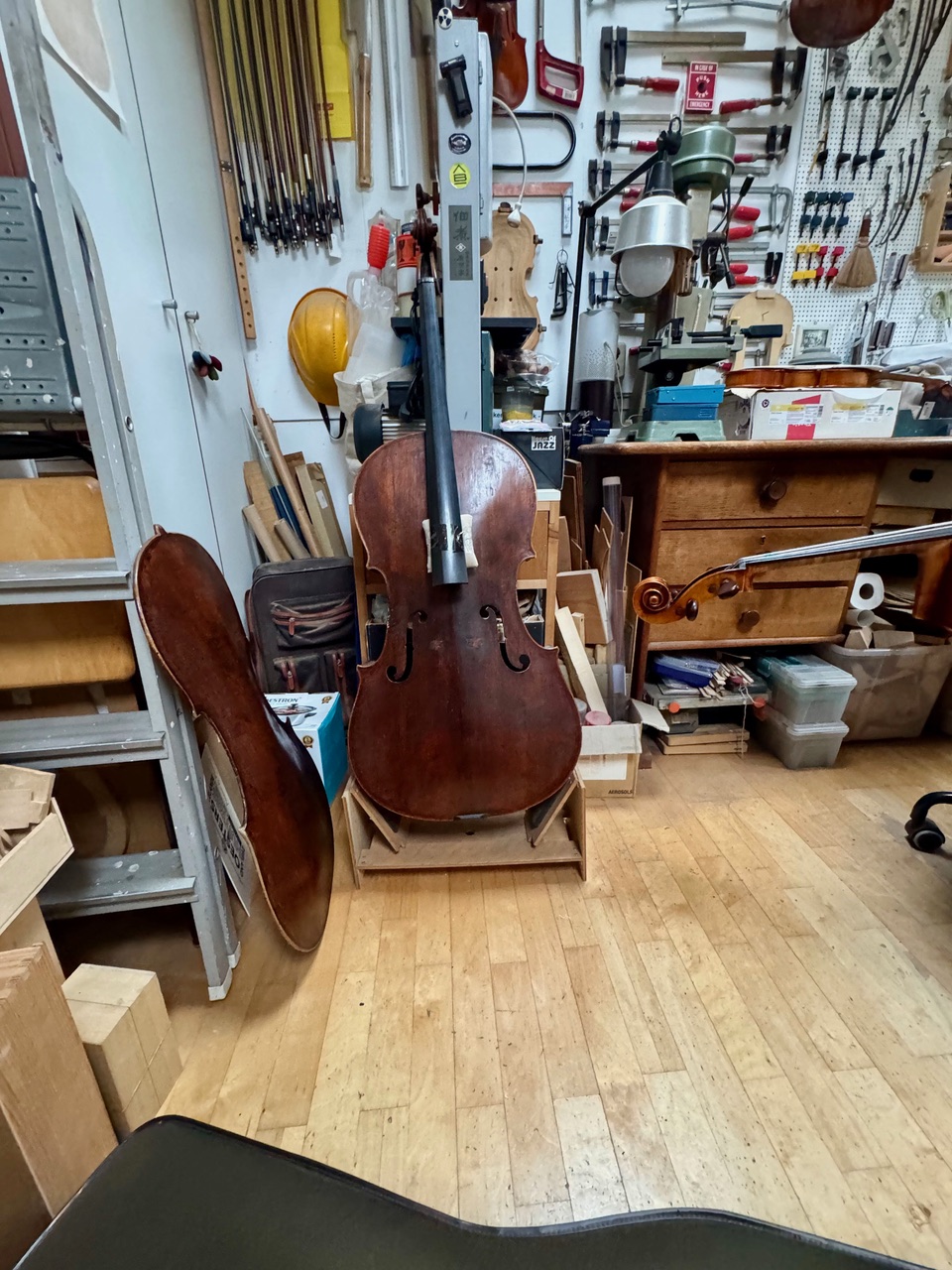 Gofriller-cello-Iwata-01b Gofriller-cello-Iwata-01b