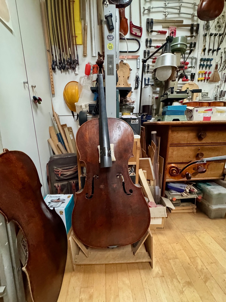 Gofriller-cello-Iwata-02b