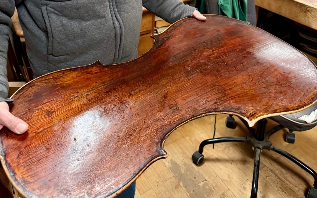 Gofriller-cello-Iwata-06