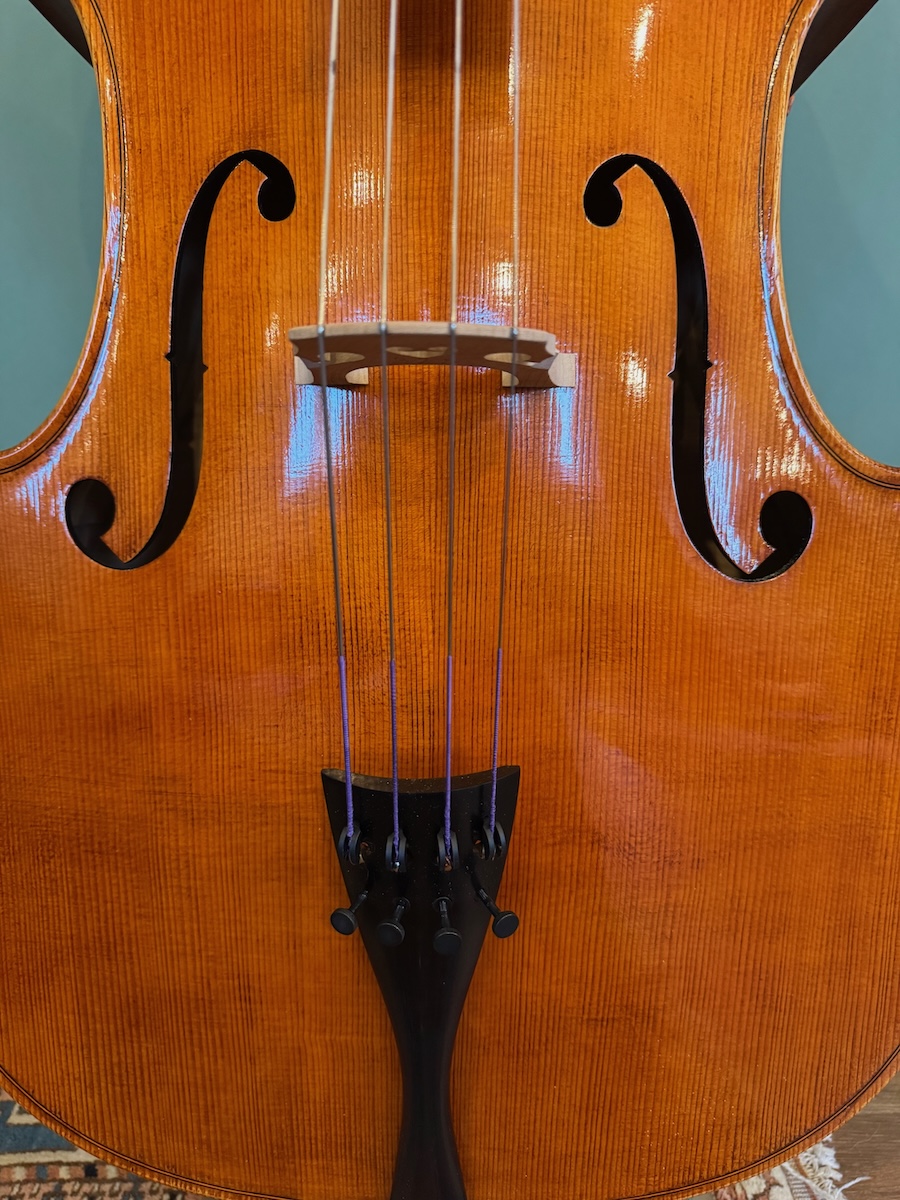 Scarlett Arts_blog_Thomastik snaren