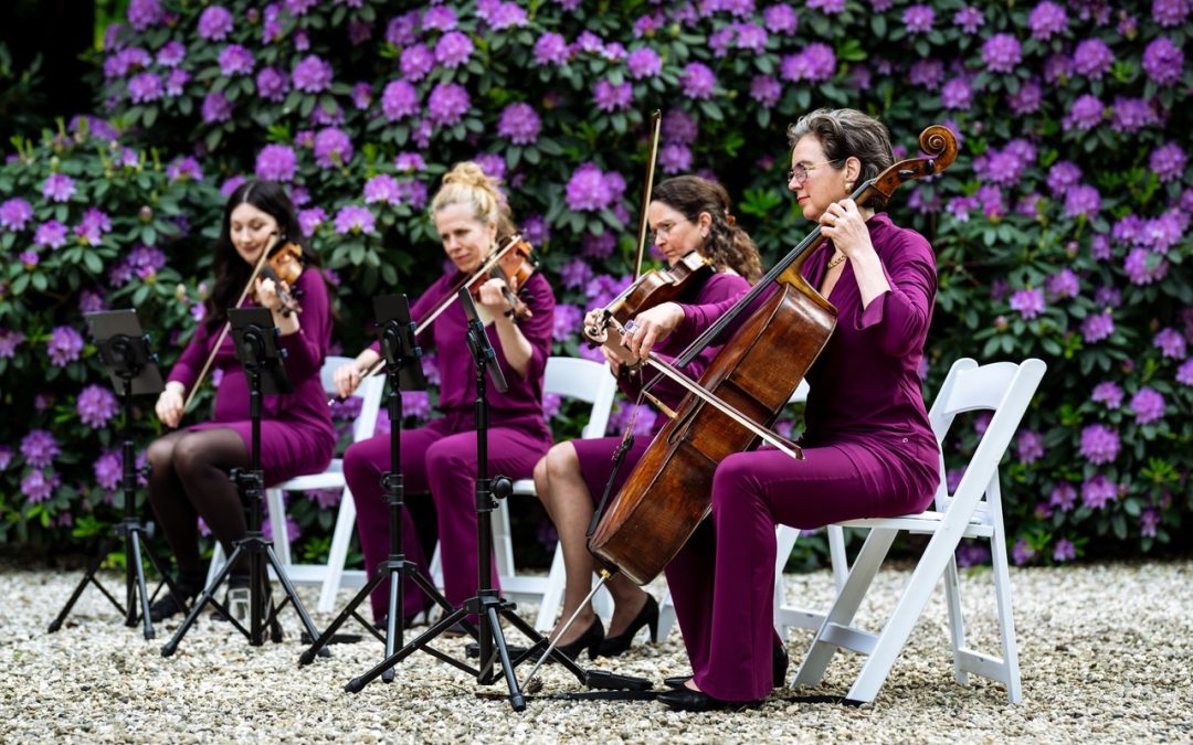 Vier muzikanten van Het Strijkkwartet spelen viool, altviool en cello tijdens een buitenoptreden voor een paarse rododendronhaag.
