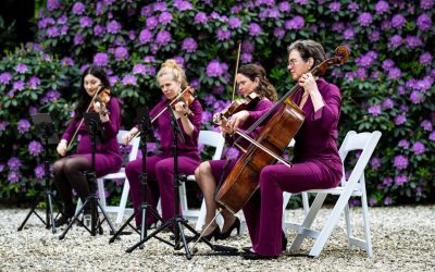Zomervakantie cello vragen!
